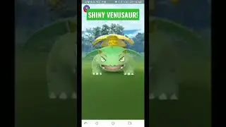 Shiny Venusaur while on Live Stream! Pokemon GO #pokemongo #pokemon #shinypokemon