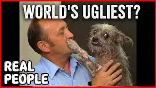 World's Ugliest Dog Contest | Real People | George Schlatter