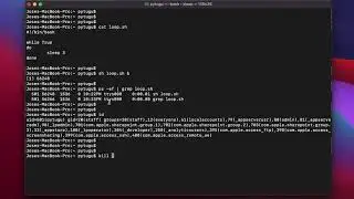 Mac OS Terminal - kill