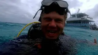 LARGEST PARROTFISH IN THE WORLD | OPAL REEF
