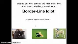 I Fail The Idiot Test