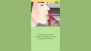 How To Stop Hiccups After Drinking Alcohol