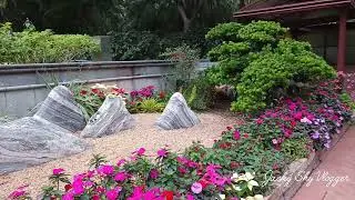 KOWLOON PARK HONGKONG #amazing #view 