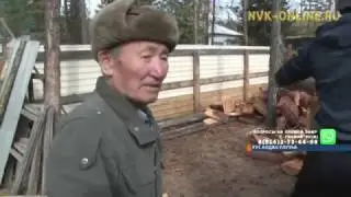 Уус Алдаҥҥа аҕа саастаах дьоҥҥо көмөлөһөн, оттук мас кэртилэр