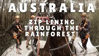 AUSSIE VLOG #6- Zip Lining through the Rainforest!