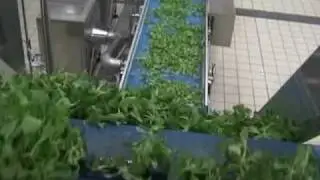 Tecnoceam Drying Line with Centrifuge On Greens