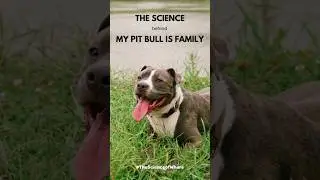 My Pit Bull is Family is saving lives and keeping families together using GIS #PitbullAwarenessMonth