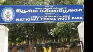 National fossil wood park, Tamilnadu | Geological monument of India