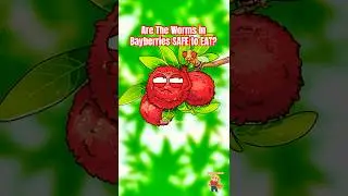 Безопасно ли есть червей в перцах душистого? #перца душистого #анимация