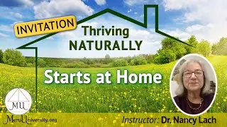 Class - Thriving Naturally: Creating a Toxin-Free Home for Vibrant Health and Well Being