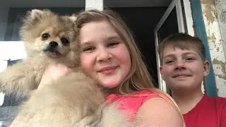 VLOG/Лев скачал программу для монтажа/Мы с мамой ездили в магазин/Купили лимонад&hellip;&hellip;.