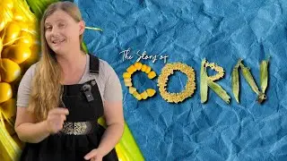 The Genetic Mistake That Nearly Destroyed Corn