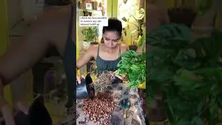 Leca Time!Flushing your Leca:Flushing monthly your plants in leca to wash