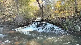 Relaxing Waterfall & Stream Sounds 🌊 10 Hours | Deep Sleep, Stress Relief, Study & Meditation