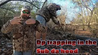 Catching Coons with Dps and New Years Dinner