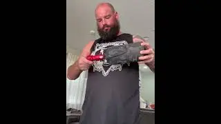 Bear Claw Demo