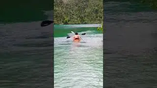 🏝️kayaking in siargao #perfectgetaway #touristdestination #beautifuldestination #shorts