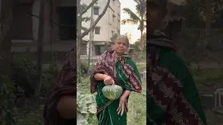 Gardening 🧑&zwj;🌾 #ytshorts #gardening #harvesting #odia