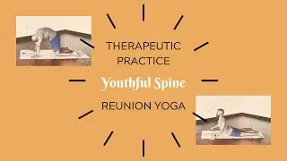 Therapeutic Practice | Youthful Spine