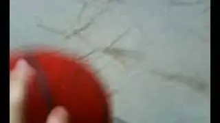 Trash Can Dunk