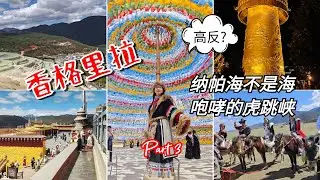 云南香格里拉 (Part 3) | 三千多海拔的高反体验 是什么感受？ | 强力推荐的藏族餐厅 | 哈巴雪山 | 小布达拉宫
