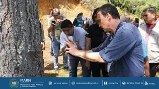 Especialistas alemanes comparten experiencias sobre combate al gorgojo descortezador