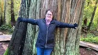 Gabriola Island - January 17, 2026