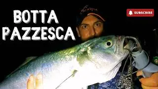 PESCE SERRA A SPINNING DALLA SCOGLIERA! VERY TOP!