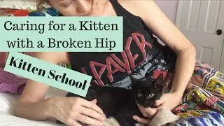Emma the Kitten: Healing From a Broken Hip - Kitten School