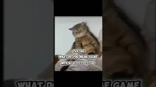 What do you meme game pt.2 #hellotalkfriend #internationalfriends #koreanfriend #funny