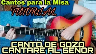 Canto de Gozo - Acordes | Cantos para la Misa | TUTORIAL | Animando Tu Misa