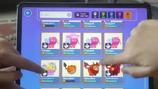 PKXD PAMPSLARIM KİME GİTTİ!?