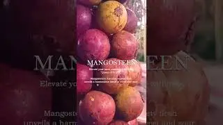 Mindanao Tropical Fruits
