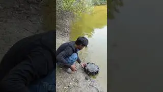 Fishing Cage Net Review 🎣 Result Unboxing + Test in Tamil #Fishing #CageNet #FishingReview #Unboxing