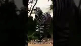 hunting on a party #short #funny 🤣🤣