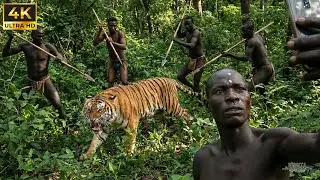 Primitive Tribe vs. Tiger: The Ultimate Fight for Survival | Exclusive Footage
