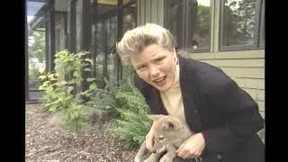 Baby Animals Regulation (1990's local news story)