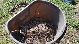 20250618 VDiary New Mouse House AKA Trash Bin