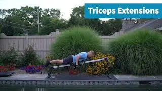 Vasa Trainer Pro - Prone Triceps Extension