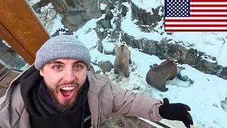 British Guy visits the USA for the FIRST TIME... 