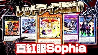 【遊戯王ADS】レッドアイズ集結！真紅眼Sophia【YGOPro】