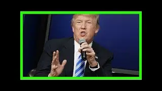 Trump responds to flynn's guilty plea