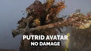 Putrid Avatar [ Northern Caelid ] | Solo | No Damage | Elden Ring