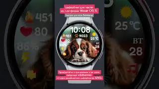 Циферблат с собачкой ANG2 для смарт-часов на платформе Wear OS 5 (Подходит для Samsung galaxy watch)