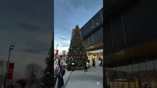 New Year decorations have transformed the city into a festive space full of light and warmth.