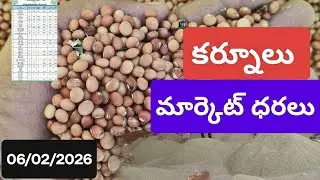 06/02/2026 కర్నూలు మార్కెట్ ధరలు today kurnool market rates prices redgram kandulu mirchi onion maiz