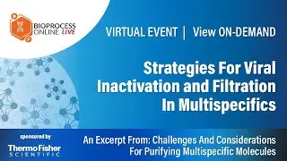 Strategies For Viral Inactivation and Filtration In Multispecifics