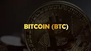 Bitcoin (BTC): Price History & Basics