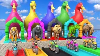 Long Slide Game with Cow Elephant Gorilla Hippopotamus Tiger 3d Animal Game Funny 3d Animals