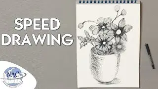 NAC - Speed Drawing Black and White